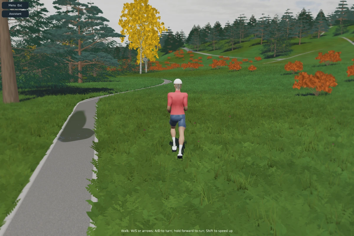 Explore the forest on foot